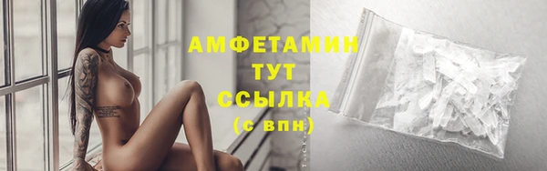 ПСИЛОЦИБИНОВЫЕ ГРИБЫ Абаза