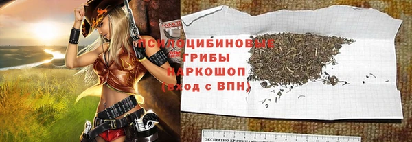 ПСИЛОЦИБИНОВЫЕ ГРИБЫ Абаза